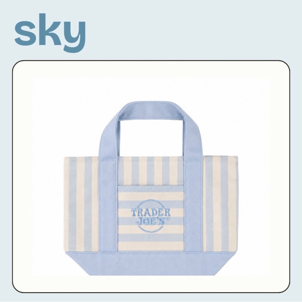 Trader Joe’s blue stripe summer mini canvas tote NWT